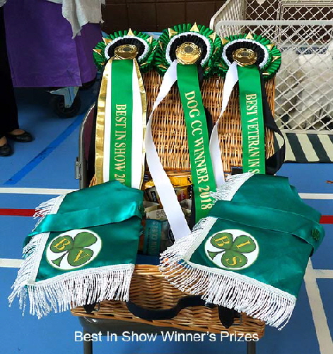 BIS winner Prizes