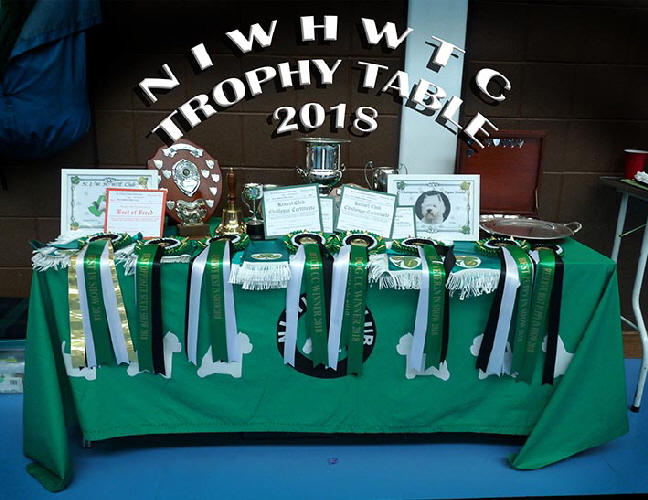 Trophy Table