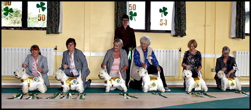 Judge with winners in their jackets web