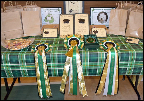 Rosettes and prizes web
