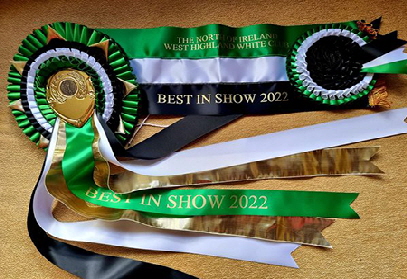 Rosettes1