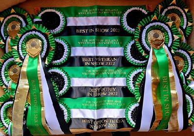 Rosettes2