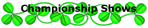 Shamrockline2