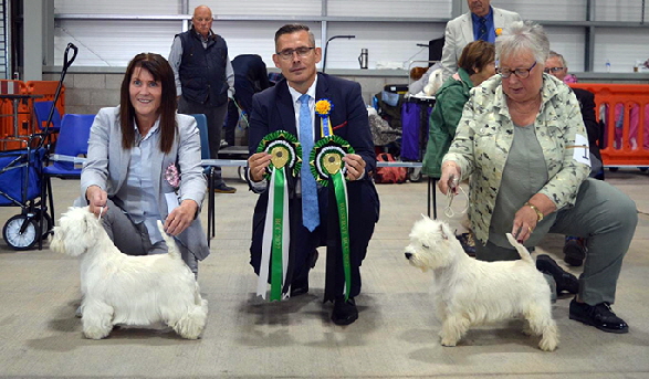 BCC and BIS Ch Burneze Our Marnie RBCC White Villan Queen Of The Night