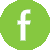 facebook-icon-green
